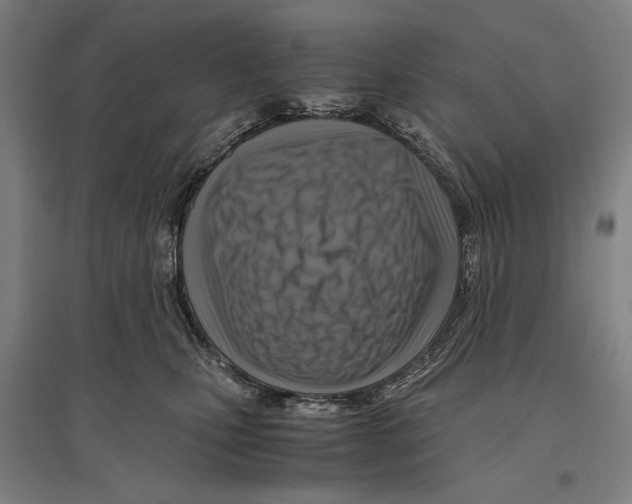 X0000096640471200803041130