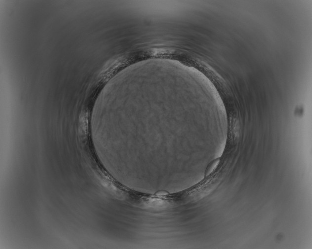 X0000096640475200803041130