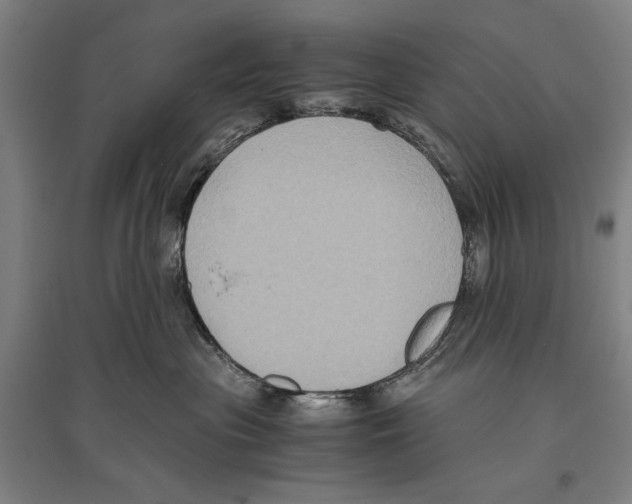 X0000096640477200803041130