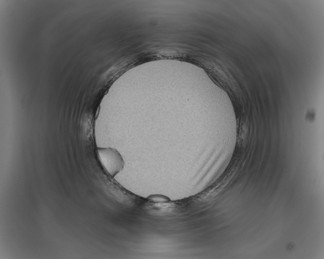 X0000096640478200803041130