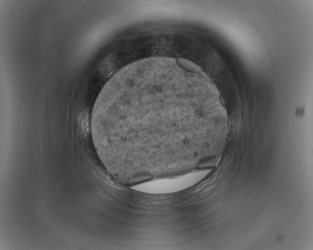 X0000096640479200803041131