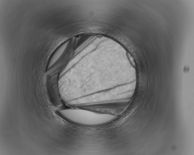 X0000096640481200803041130