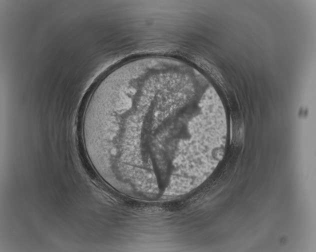 X0000096640483200803041130