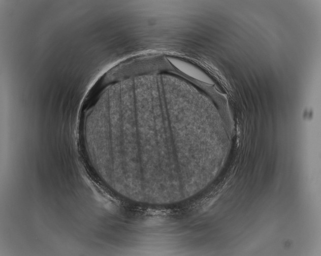 X0000096640484200803041130