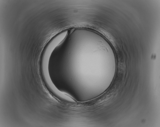 X0000096640485200803041130