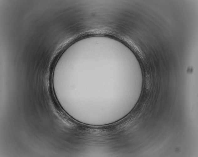 X0000096640486200803041130