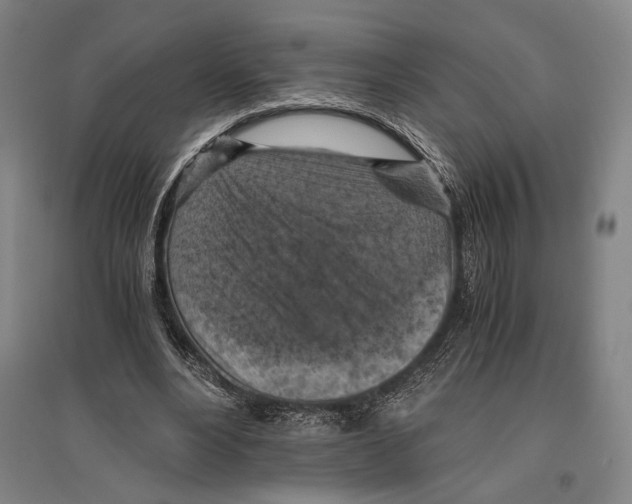 X0000096640488200803041130