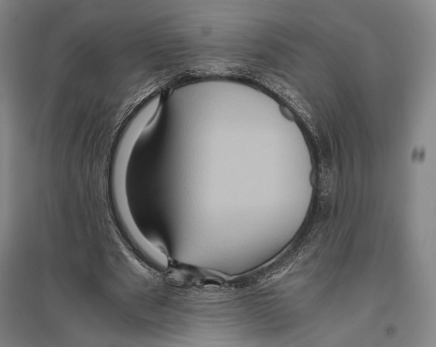 X0000096640489200803041130