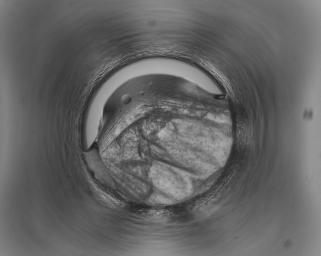 X0000096640493200803041130