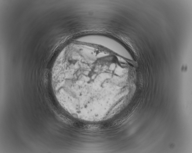 X0000096640495200803041130