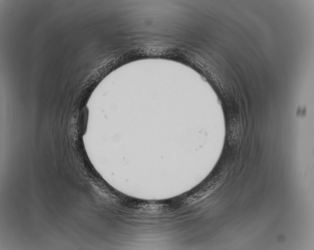 X0000096640497200803041130