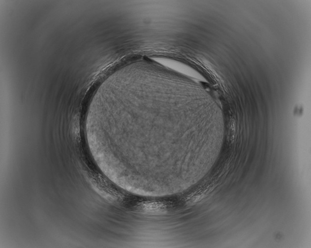 X0000096640500200803041130