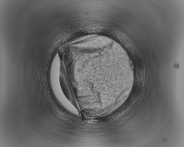 X0000096640501200803041130