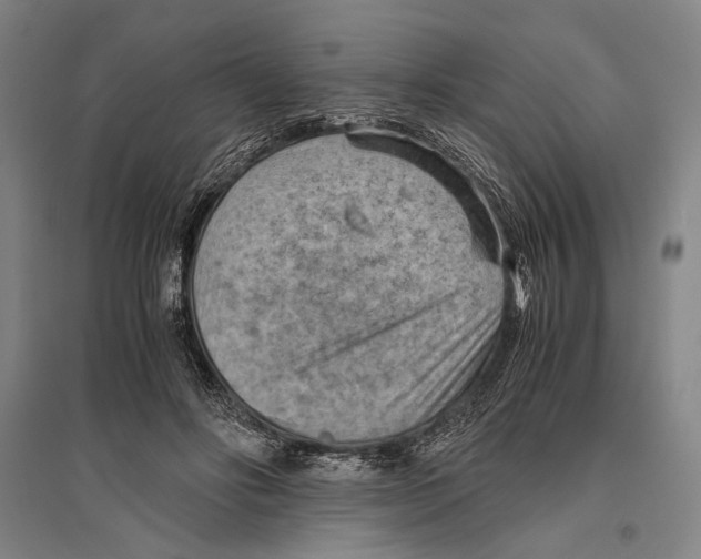 X0000096640502200803041130