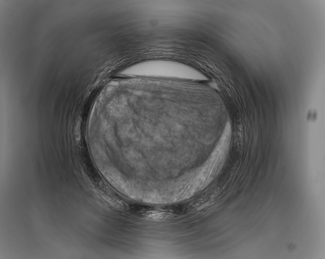 X0000096640504200803041130