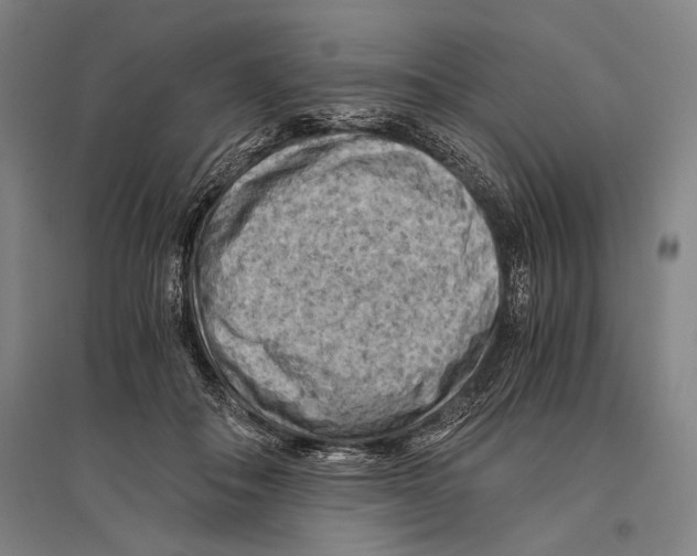 X0000096640506200803041130