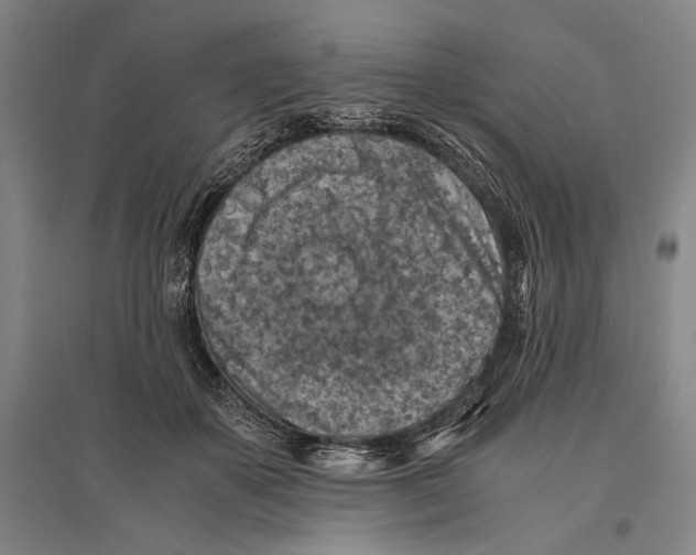 X0000096640507200803041130