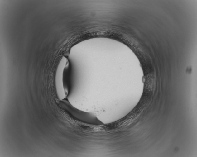 X0000096640509200803041129