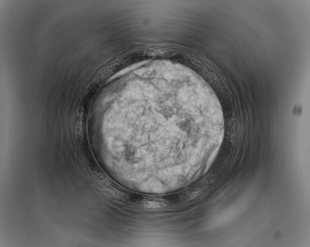 X0000096640510200803041129