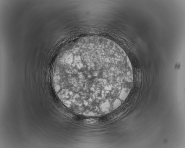 X0000096640511200803041129