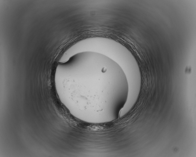 X0000096640512200803041129