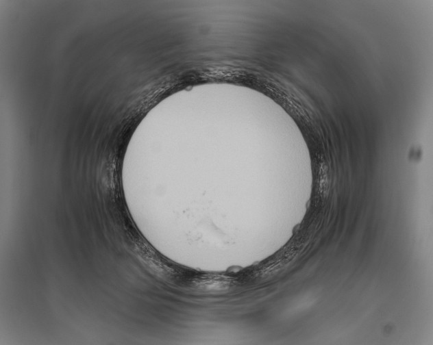 X0000096640514200803041129