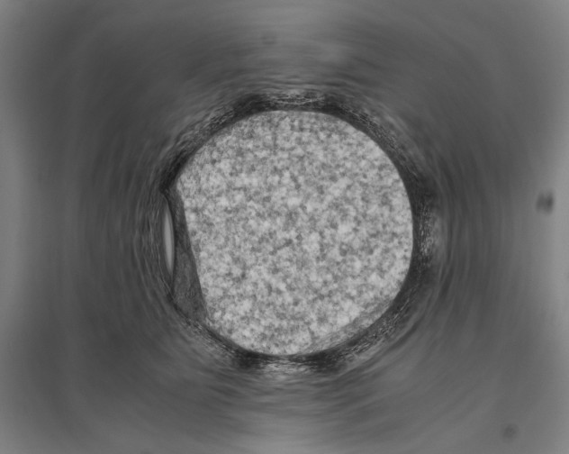 X0000096640515200803041129