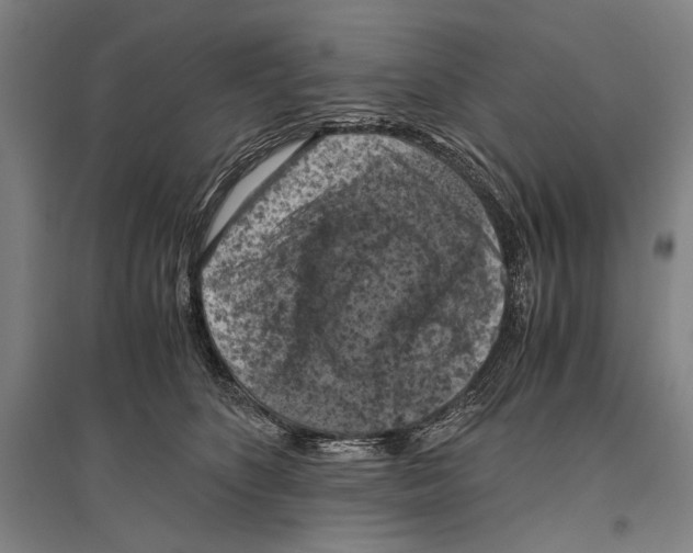 X0000096640516200803041129