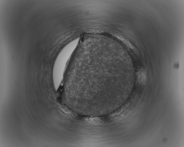 X0000096640517200803041129