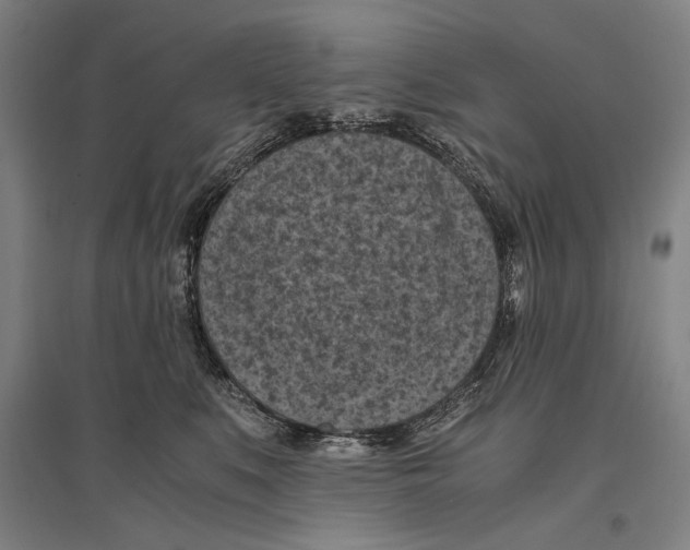 X0000096640519200803041129