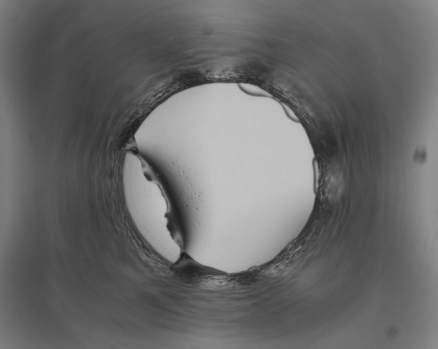 X0000096640521200803041129