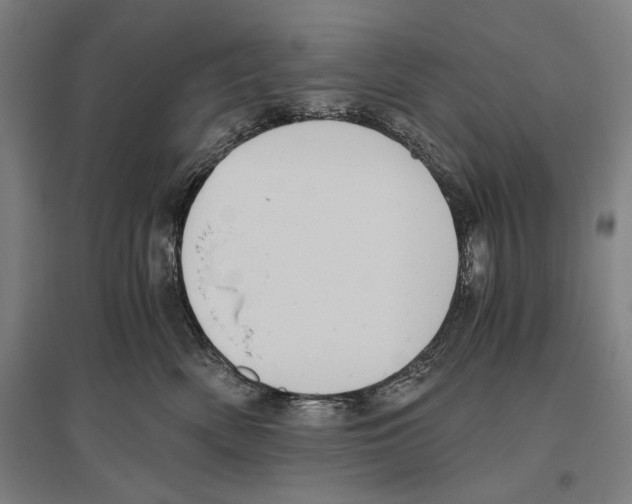 X0000096640522200803041129