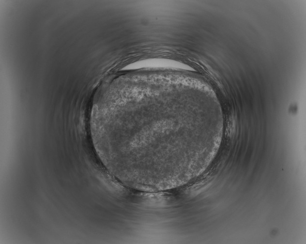 X0000096640524200803041129