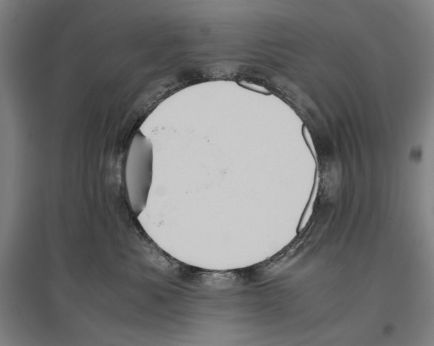 X0000096640525200803041129