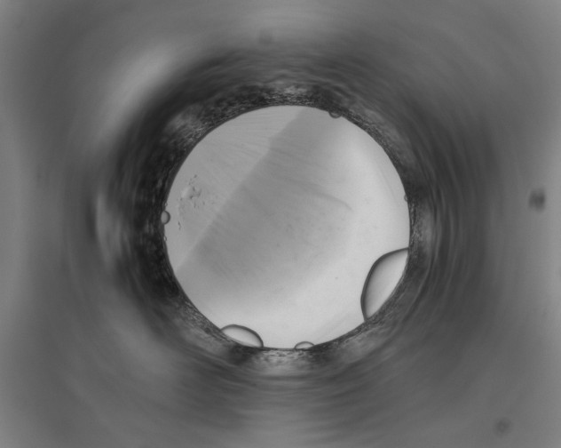 X0000096640526200803041129