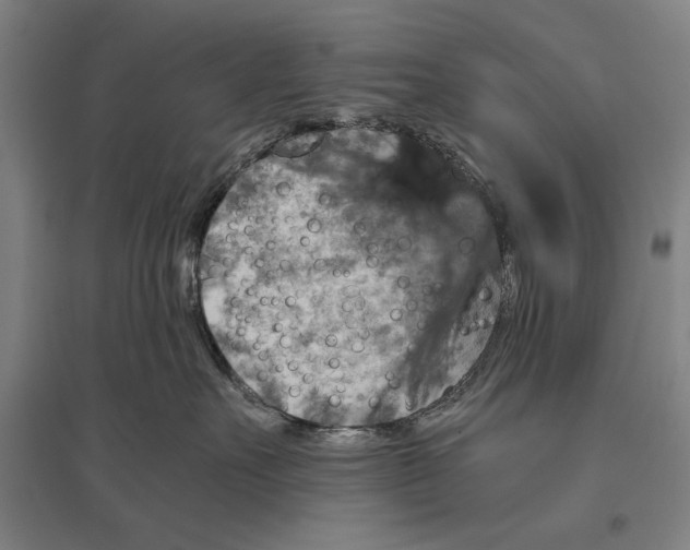 X0000096640527200803041129