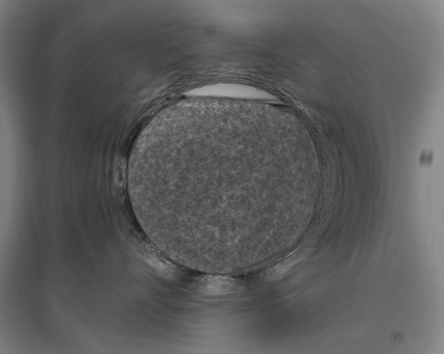 X0000096640528200803041129