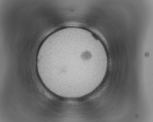 X0000096640529200803041129