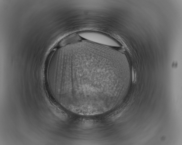 X0000096640531200803041129