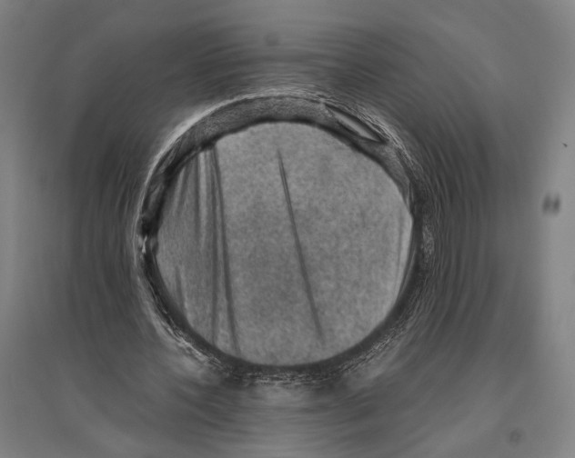 X0000096640532200803041129