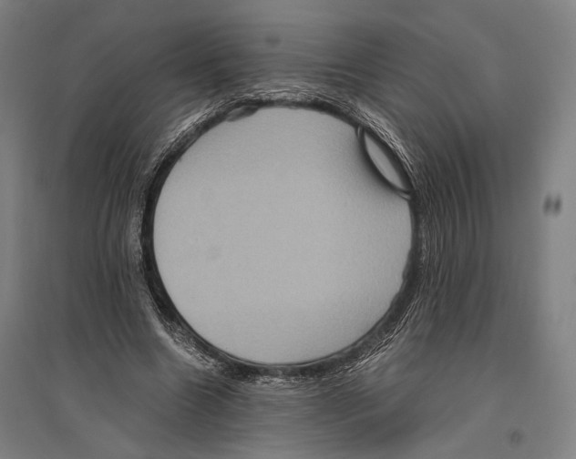 X0000096640538200803041129