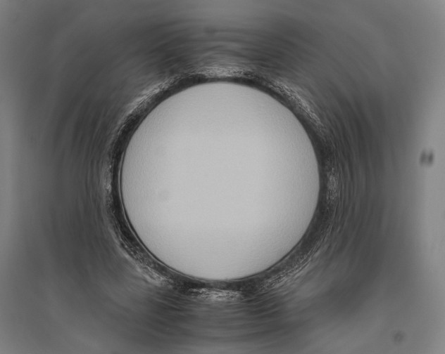 X0000096640539200803041129