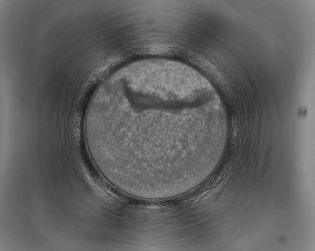 X0000096640542200803041129