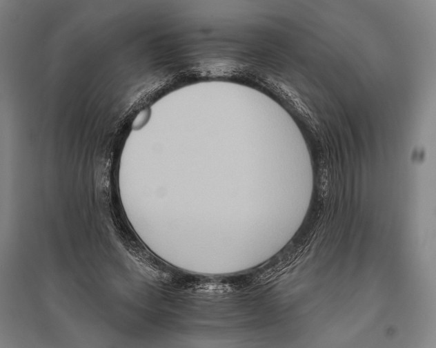 X0000096640543200803041129