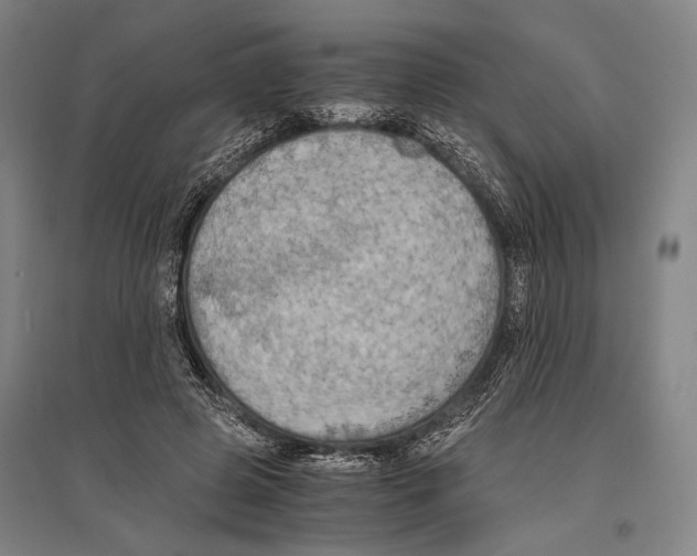 X0000096640545200803041129