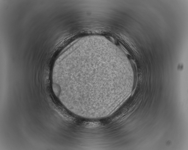 X0000096640548200803041129