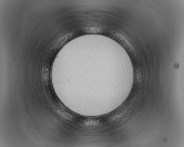 X0000096640549200803041129