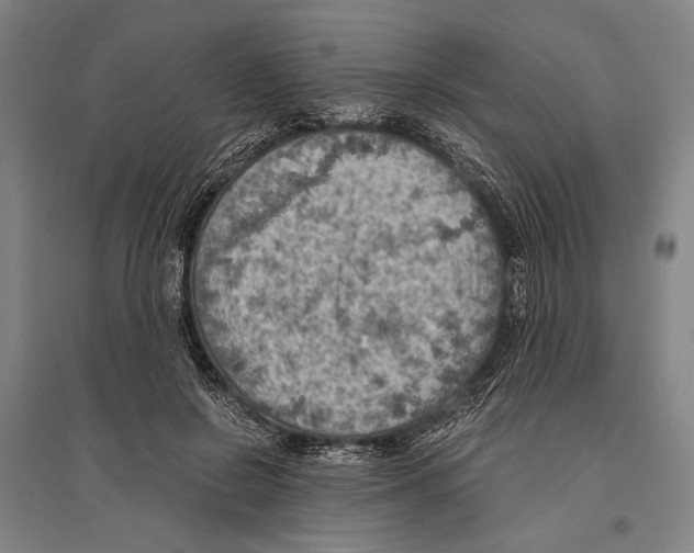 X0000096640550200803041129