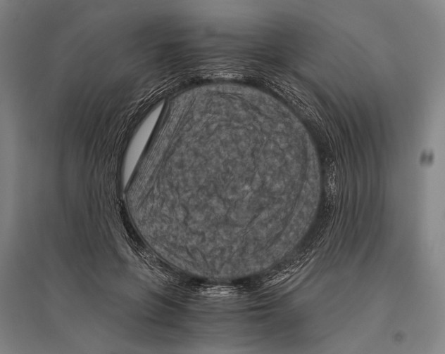 X0000096640551200803041129