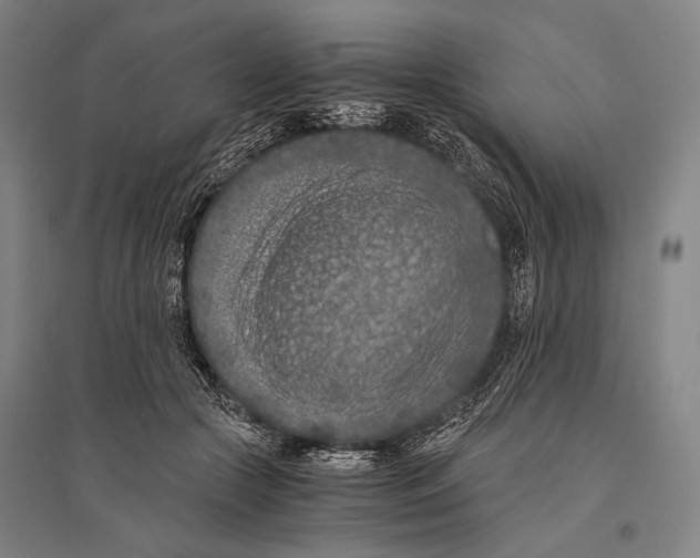 X0000096640553200803041129